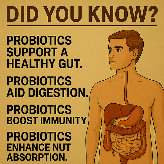 Top 5 Supplements to Boost Your Immune System This Autumn | Octi Nutrition