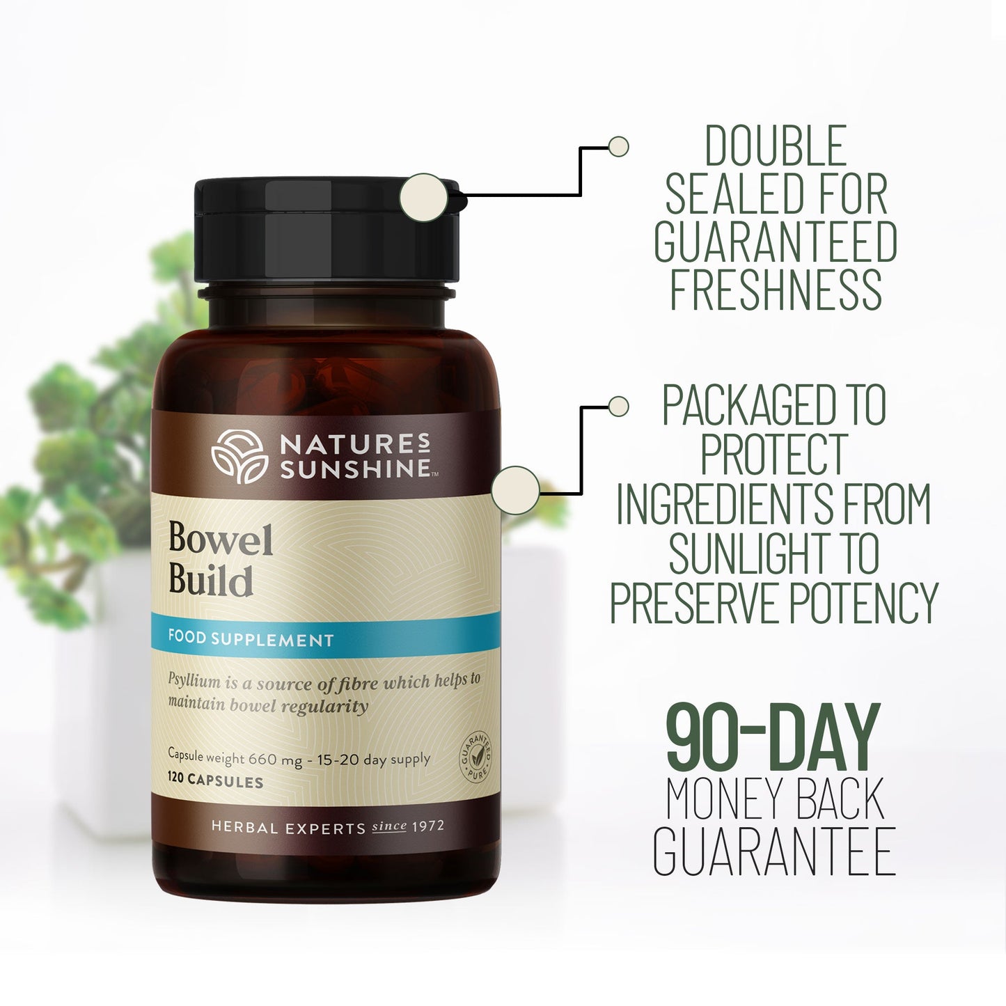 Enzymes, fibre, vitamins, intestinal system | Nature's Sunshine
