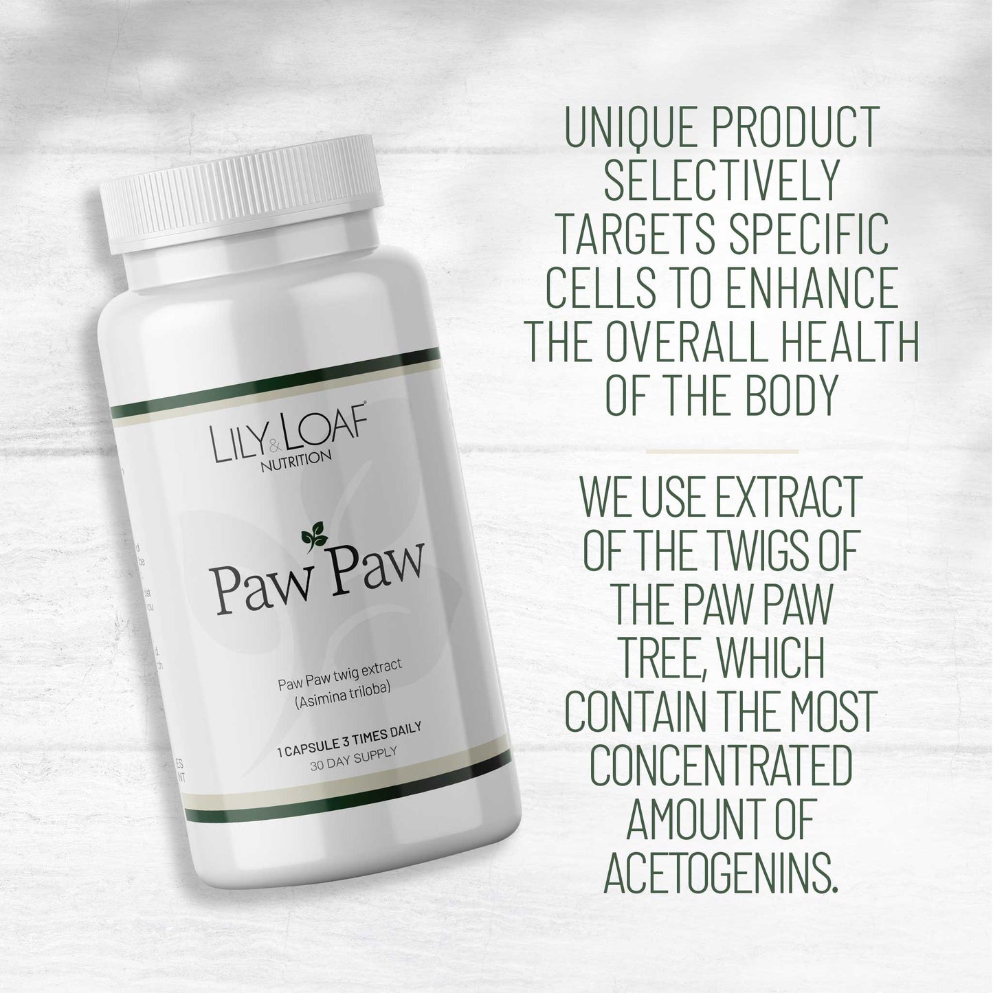 Paw Paw