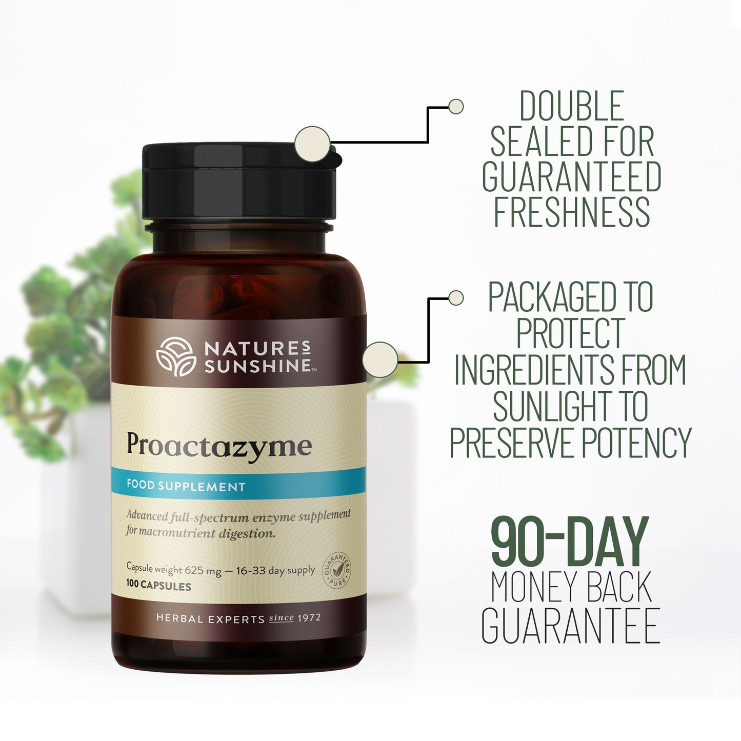 Proactazyme, Digestive, Enzyme Supplement, Bloating | Nature's Sunshine