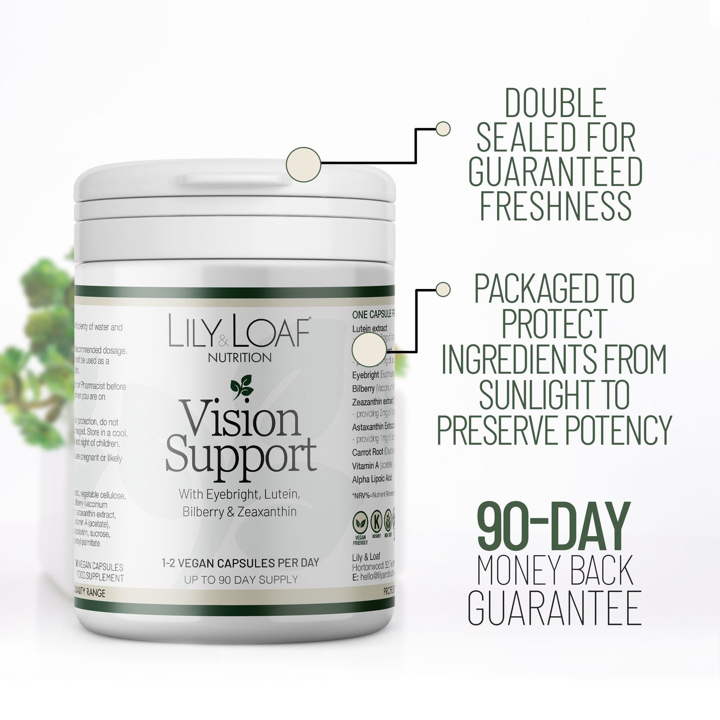 Vision Support | Nature's Sunshine