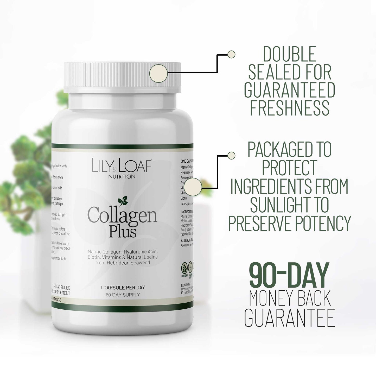 Marine collagen, Hyaluronic acid, vitamins A & C | Lily & Loaf