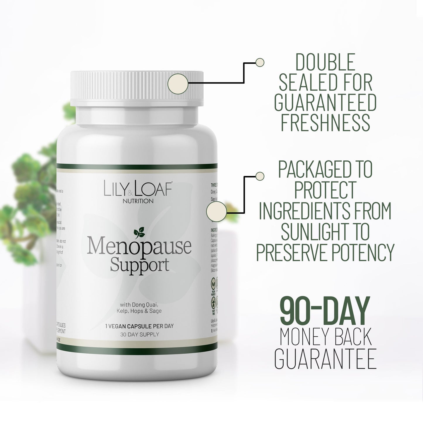 Menopause Support, dong quai, sage, hops, kelp | Lily & Loaf