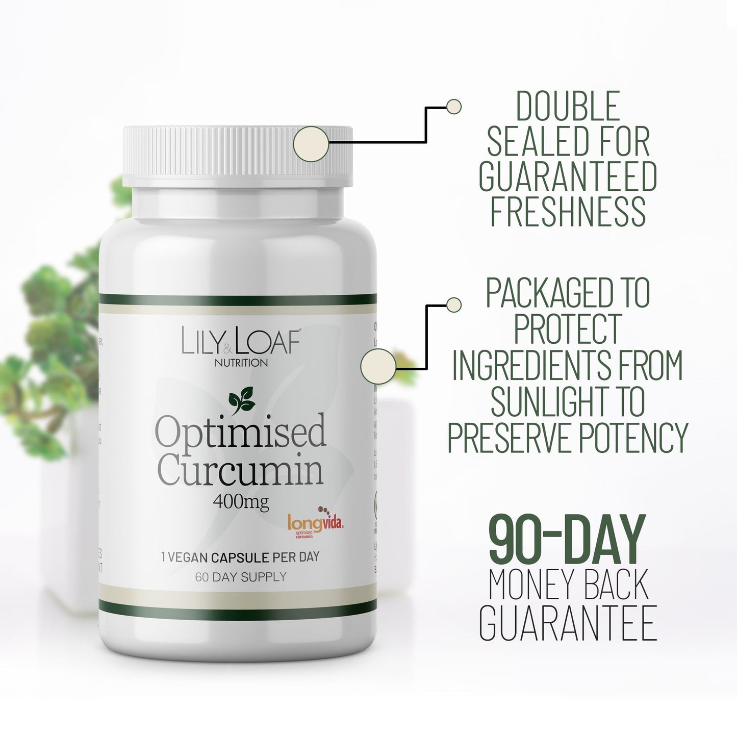 Optimised Curcumin