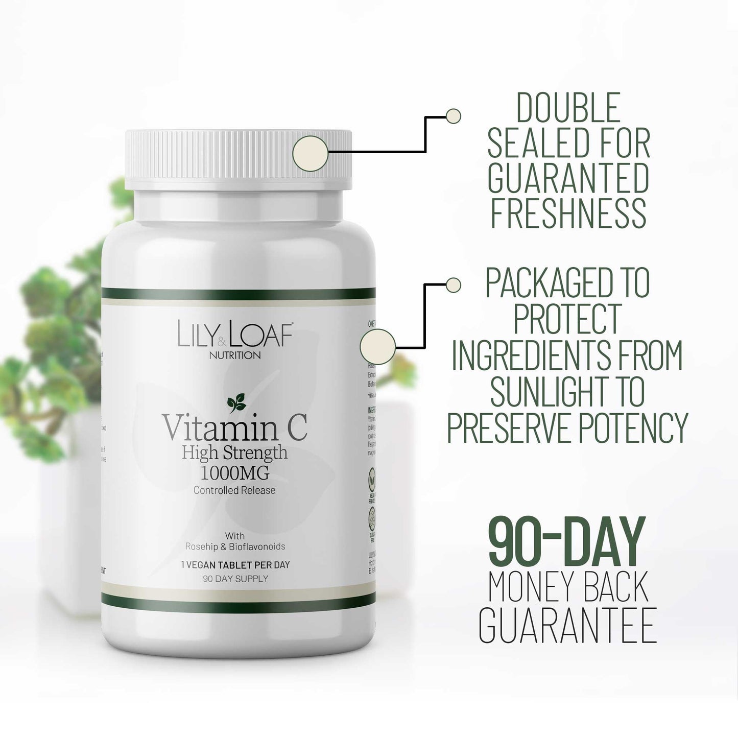 Vitamin C, immune, antioxidant, skin, nerves, fatigue | Lily & Loaf
