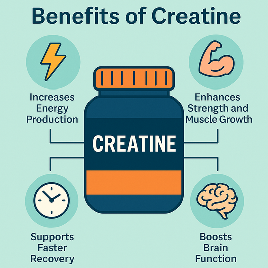 Benefits of Creatine | Energy, Strength & Recovery