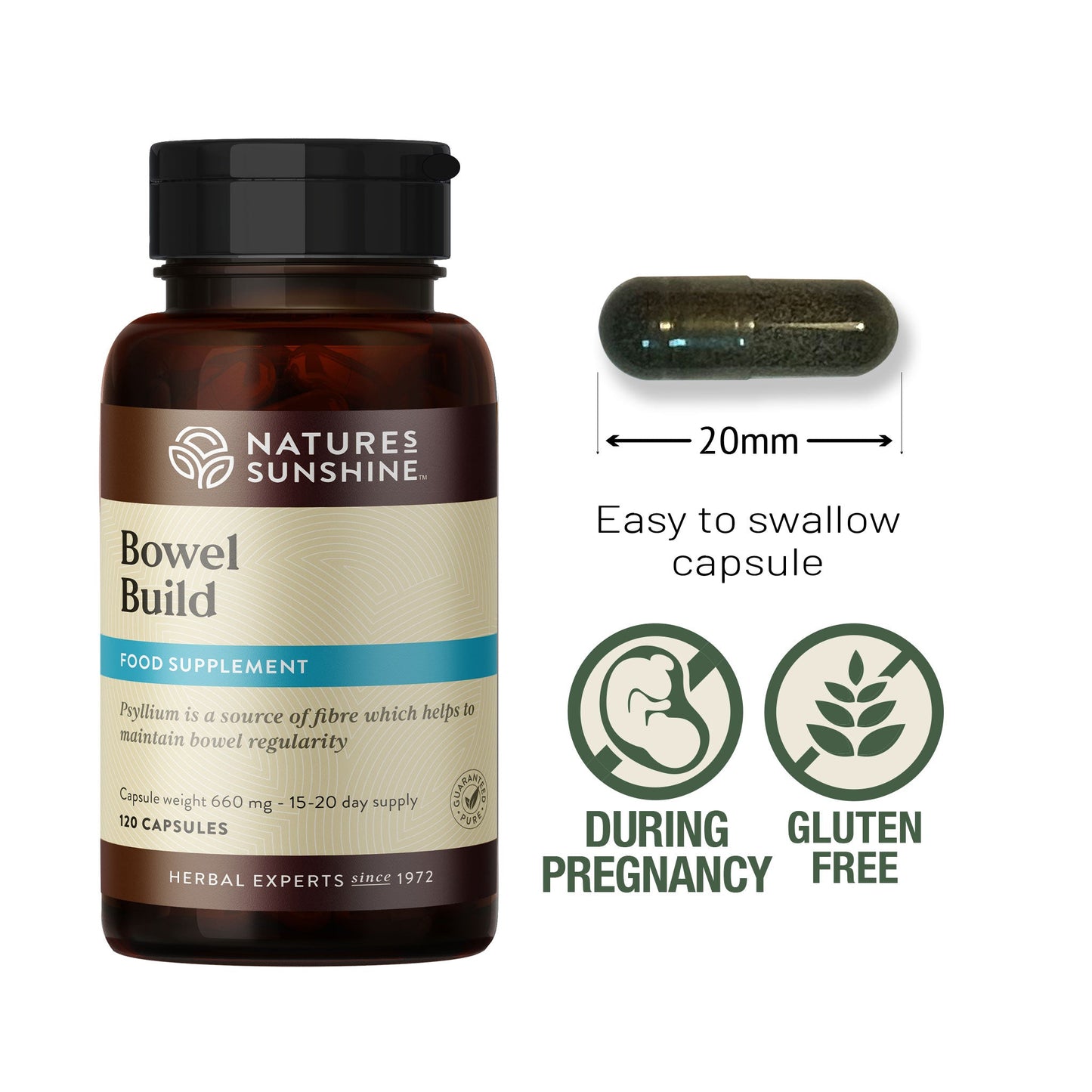 Enzymes, fibre, vitamins, intestinal system | Nature's Sunshine