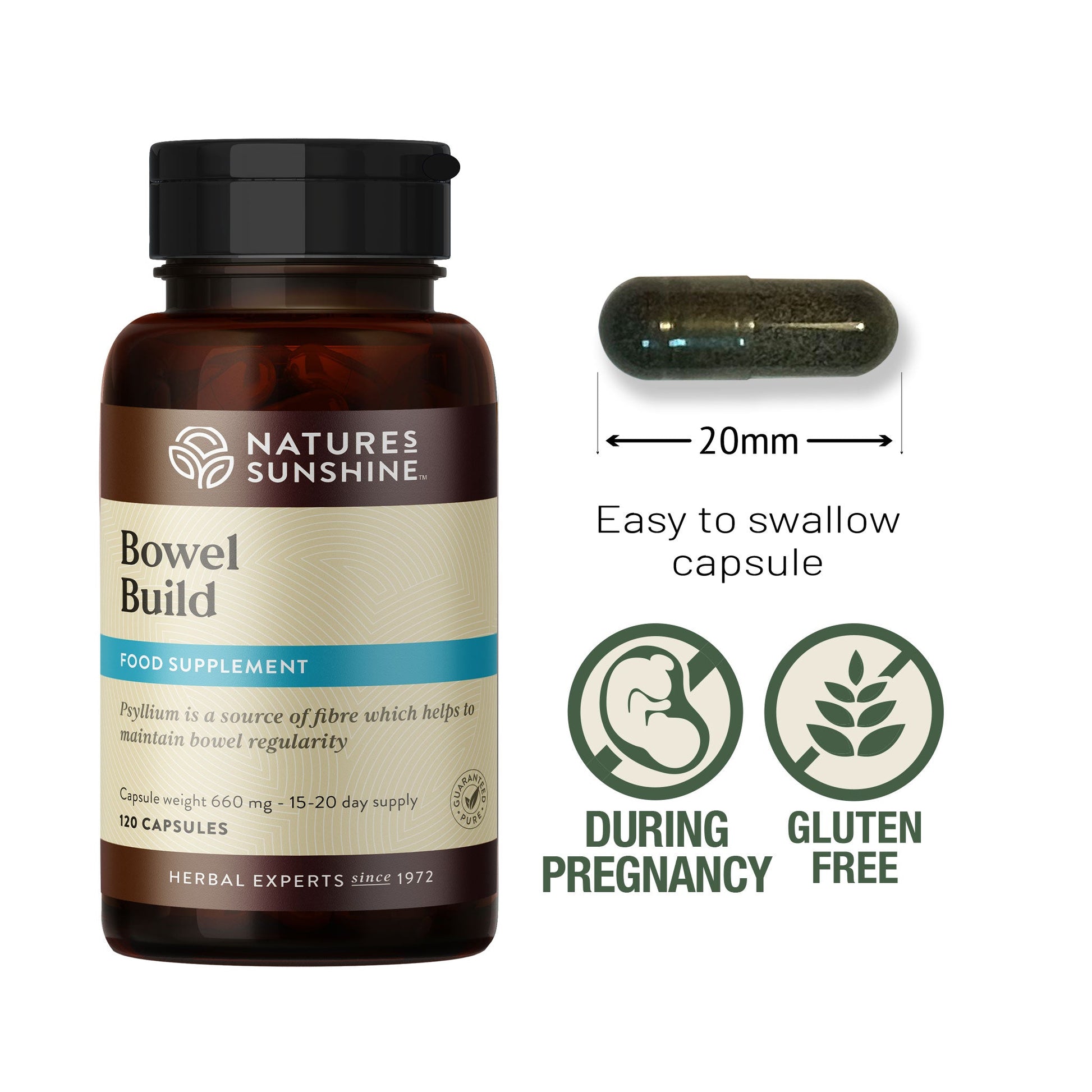 Enzymes, fibre, vitamins, intestinal system | Nature's Sunshine