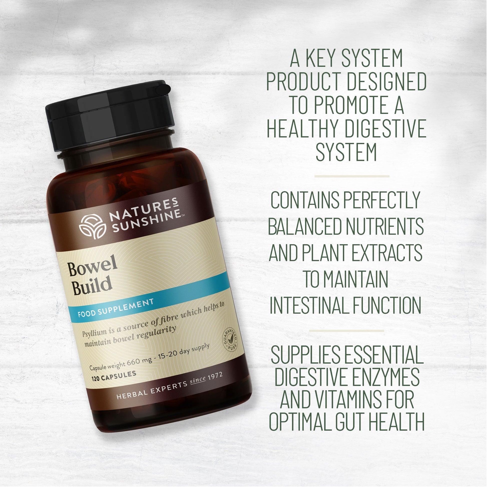 Enzymes, fibre, vitamins, intestinal system | Nature's Sunshine
