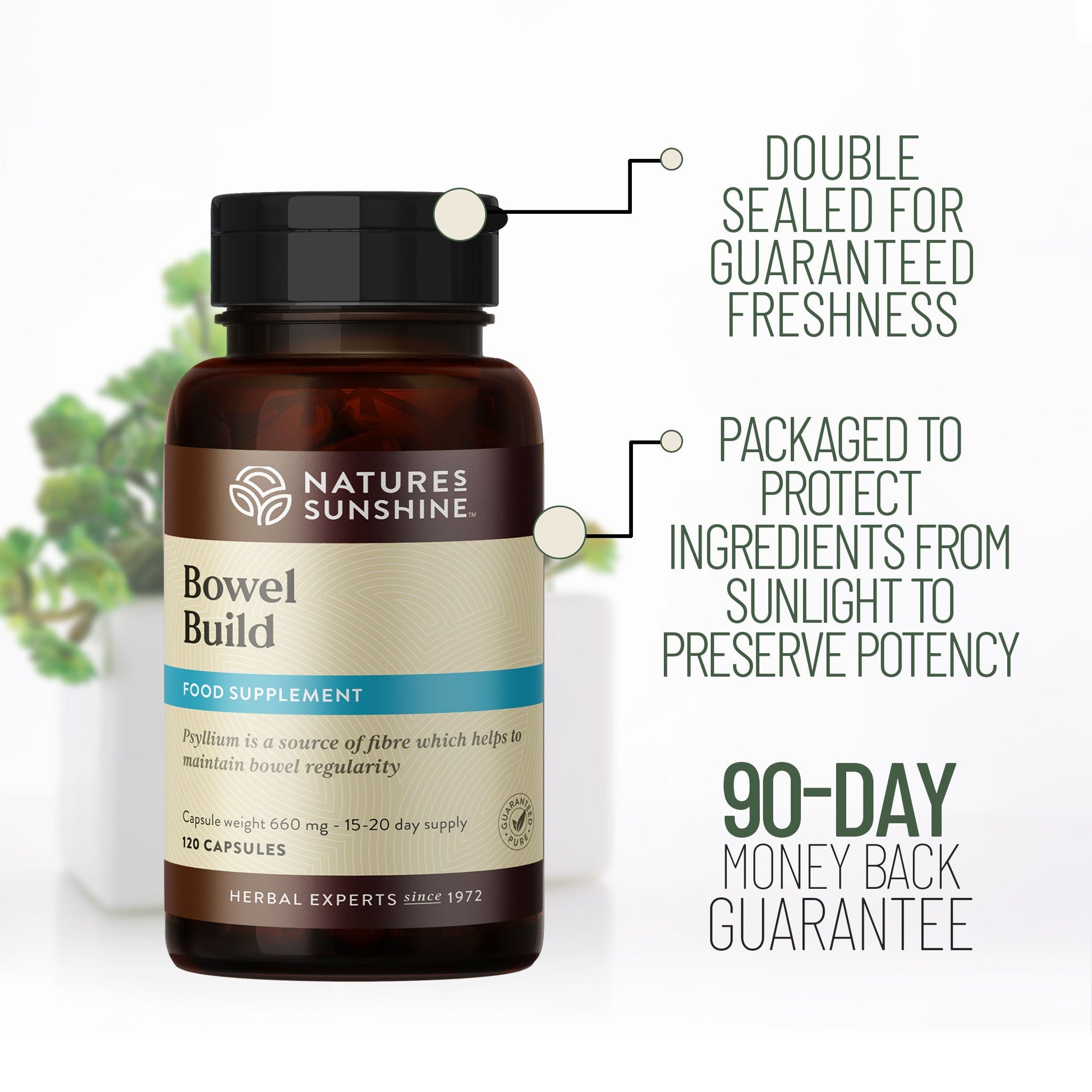 Enzymes, fibre, vitamins, intestinal system | Nature's Sunshine