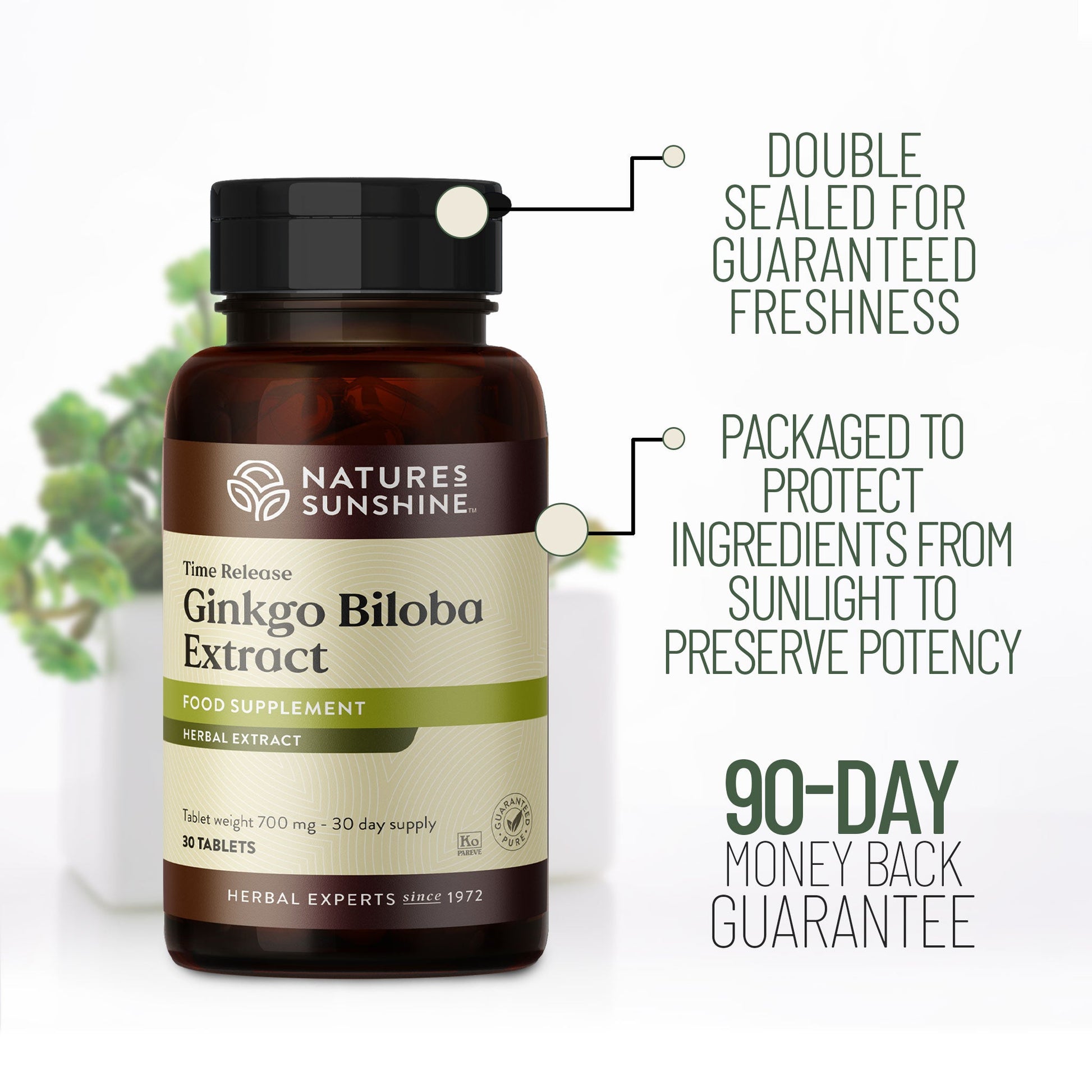 Ginkgo, timed release, circulation, heart health | Nature's Sunshine