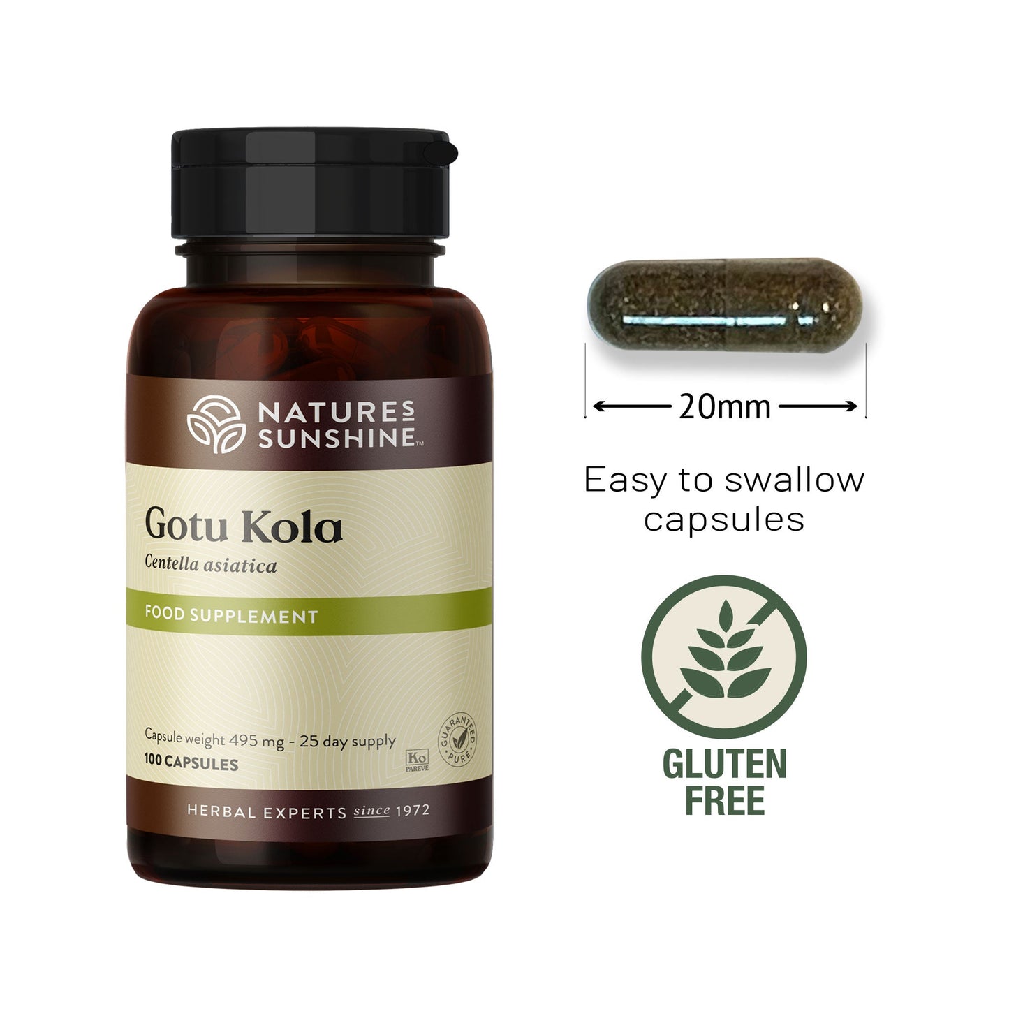 Gotu Kola, muscle function, antioxidant, immunity | Nature's Sunshine