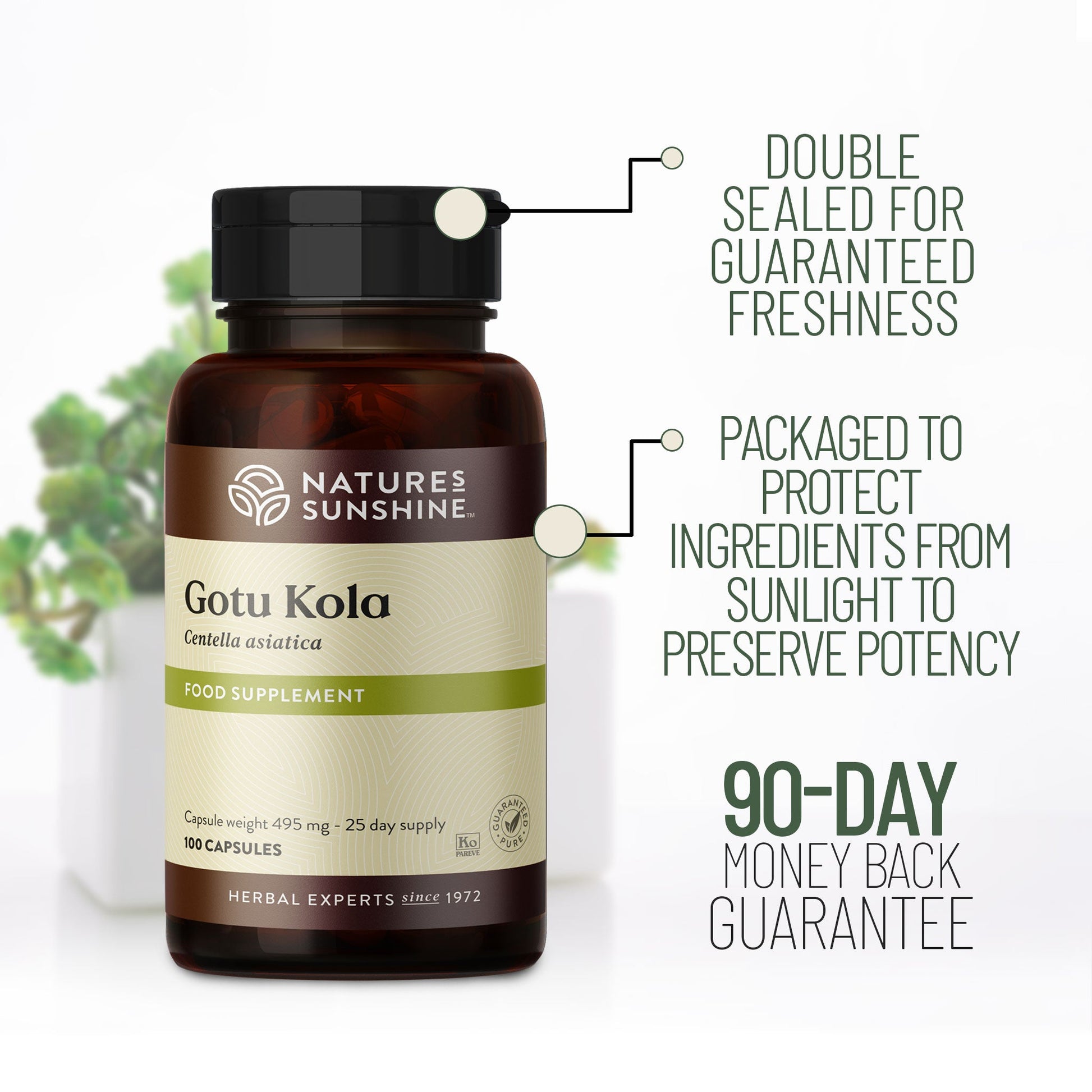 Gotu Kola, muscle function, antioxidant, immunity | Nature's Sunshine