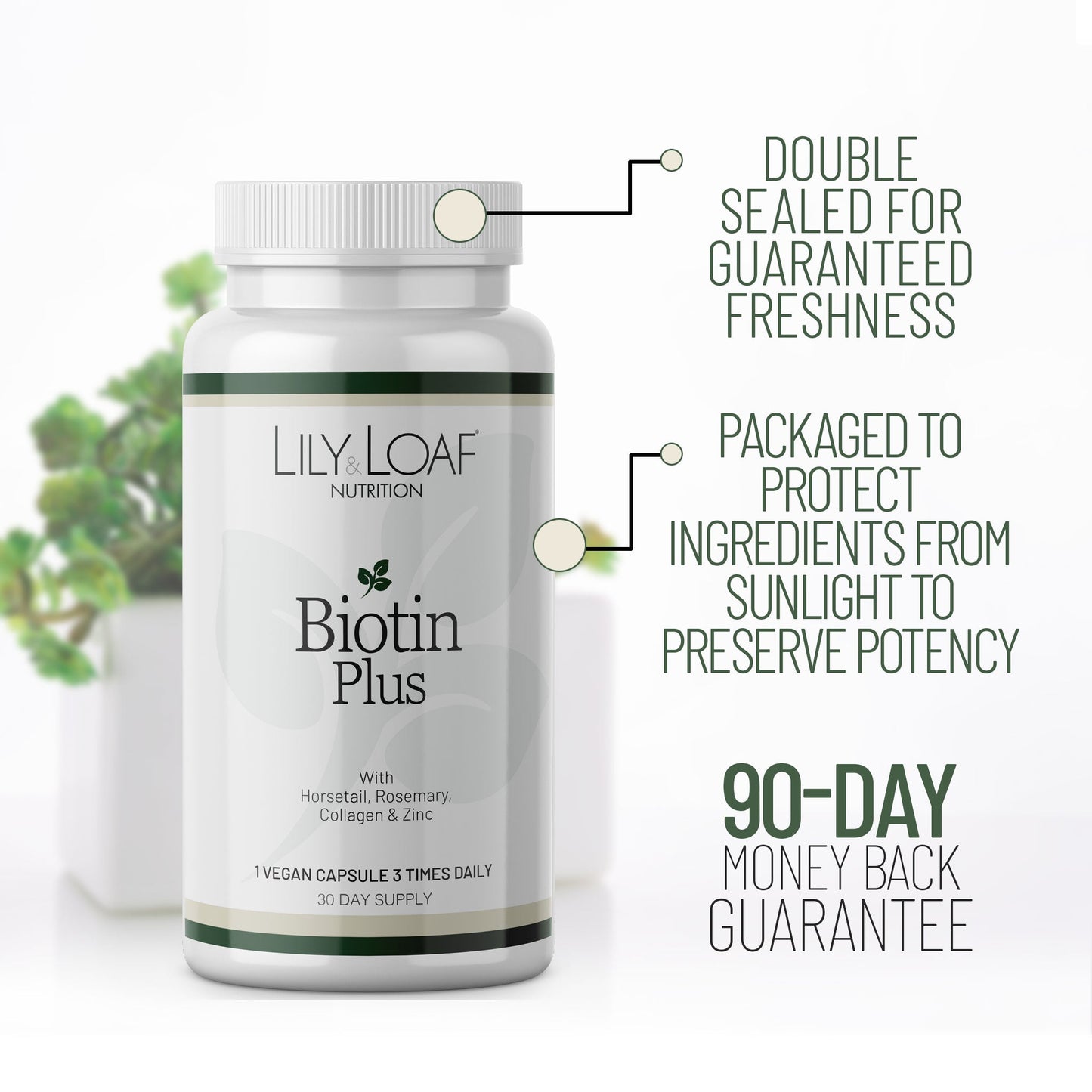 Biotin Plus |

