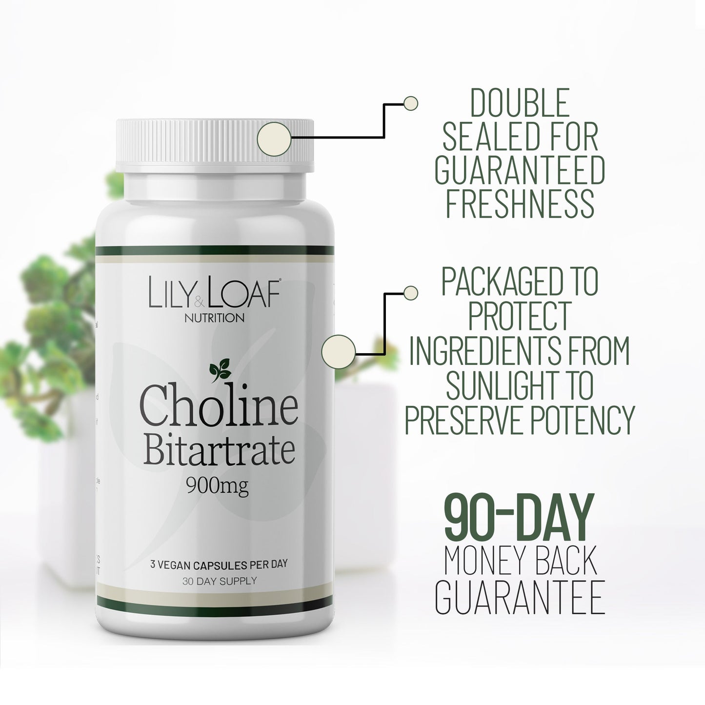 Choline Bitartrate | Nature's Sunshine 