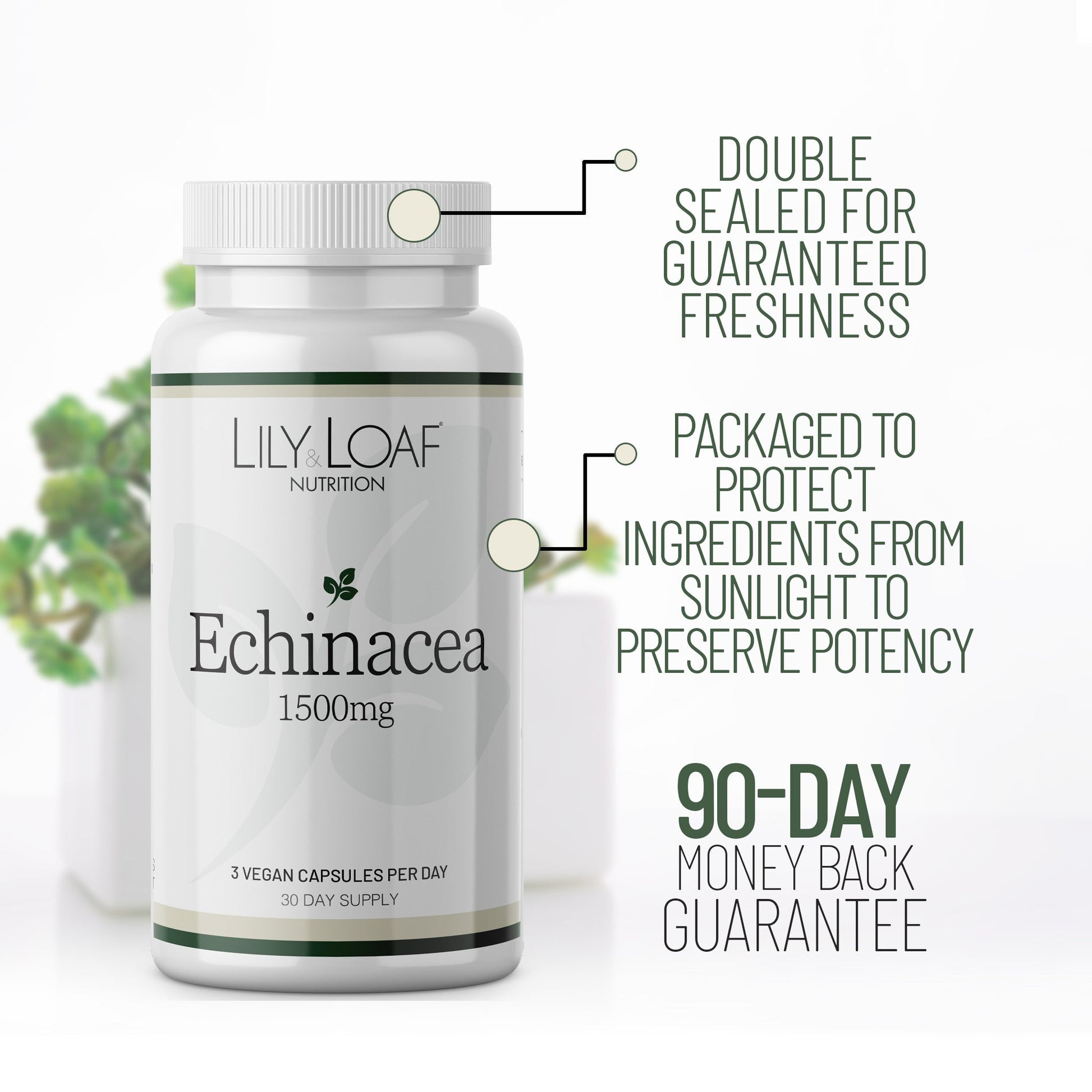 Echinecea | Nature's Sunshine 