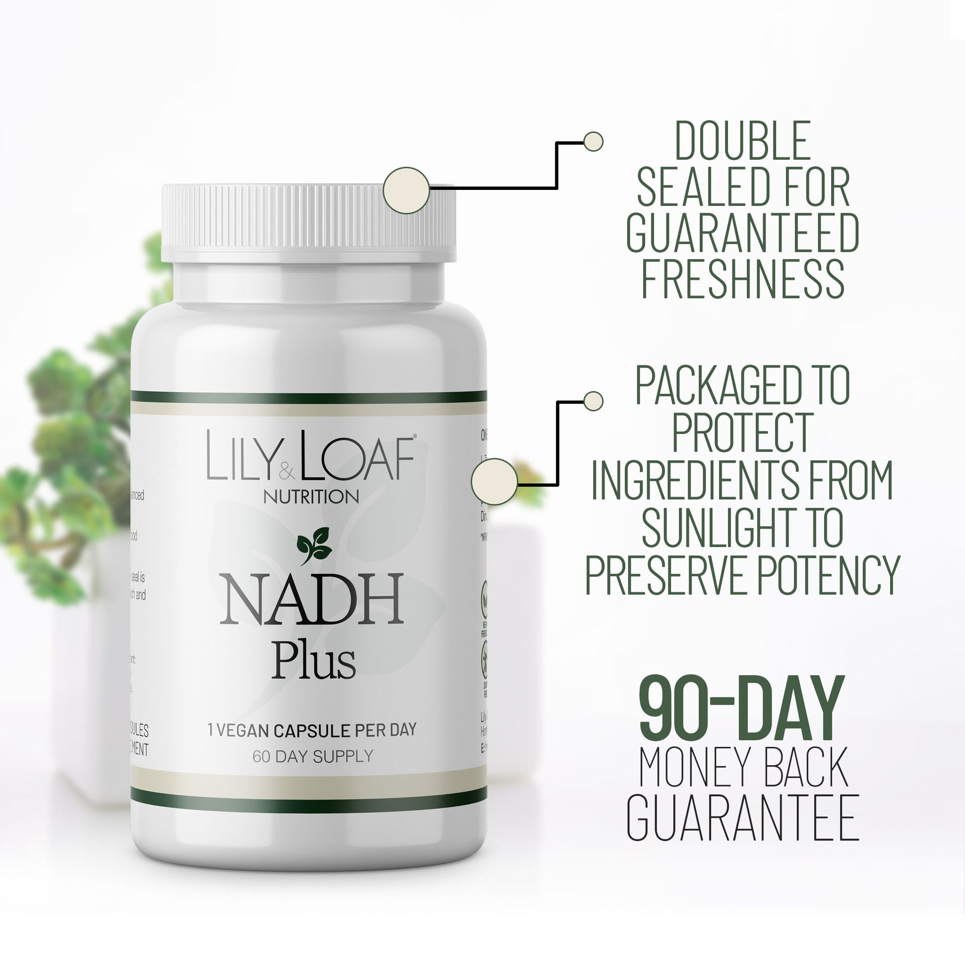NADH Plus | Nature's Sunshine 