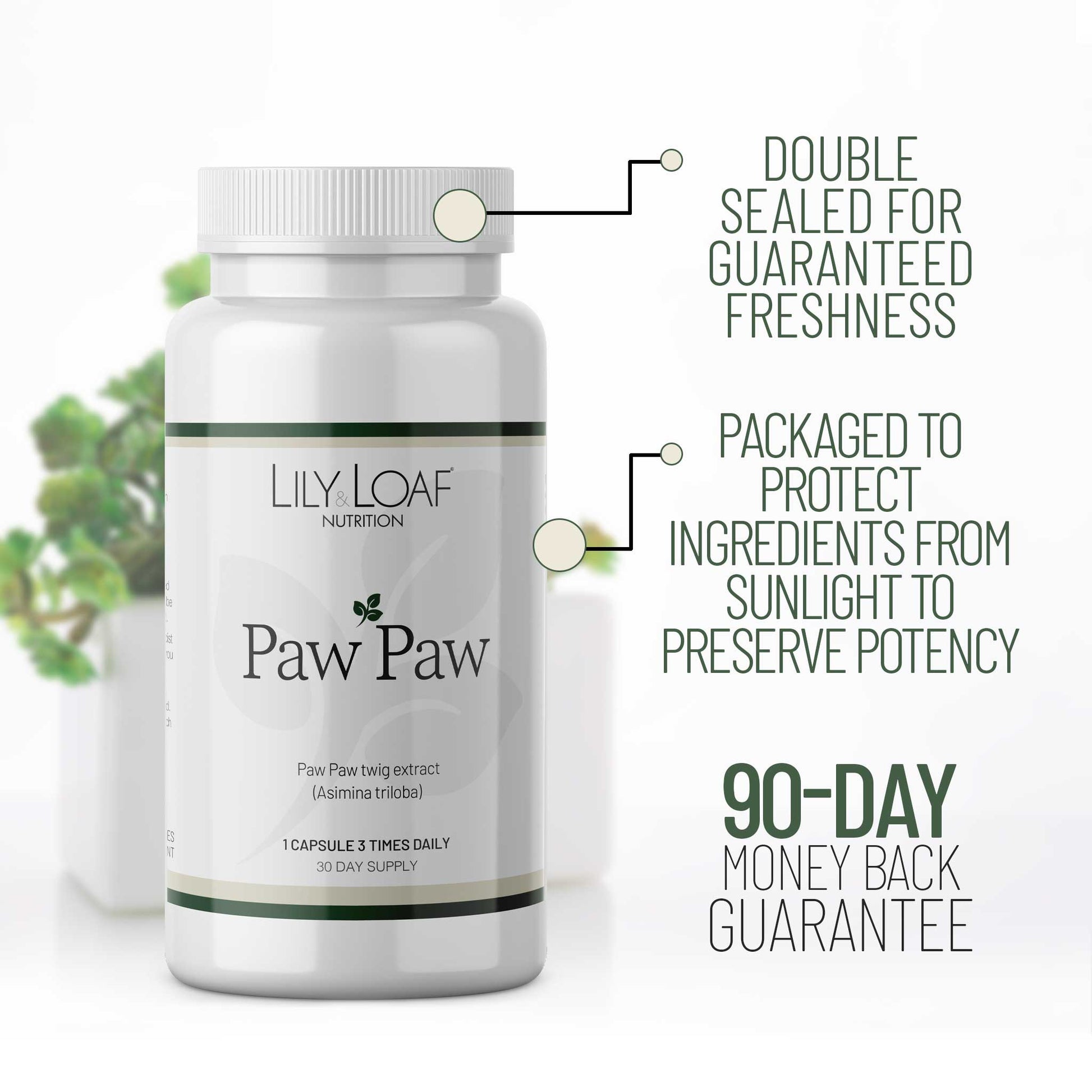 Paw Paw