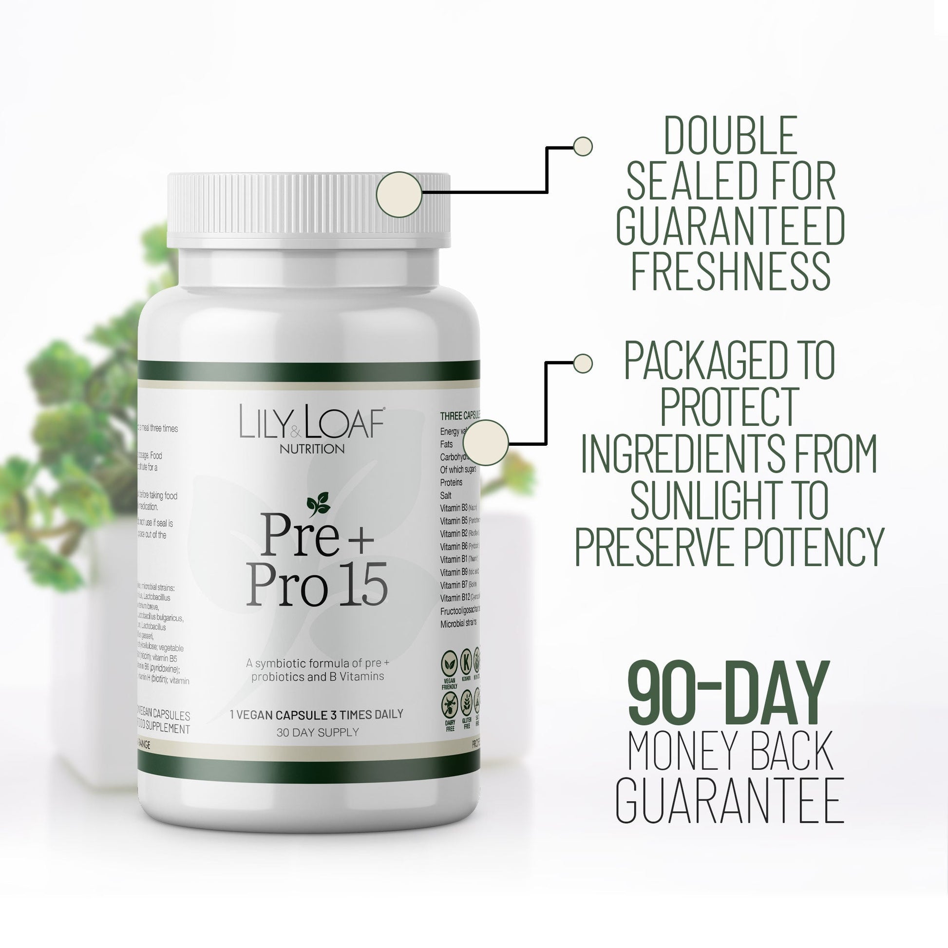 Prebiotic & Probiotic with B-Vitamins intestinal | Lily & Loaf