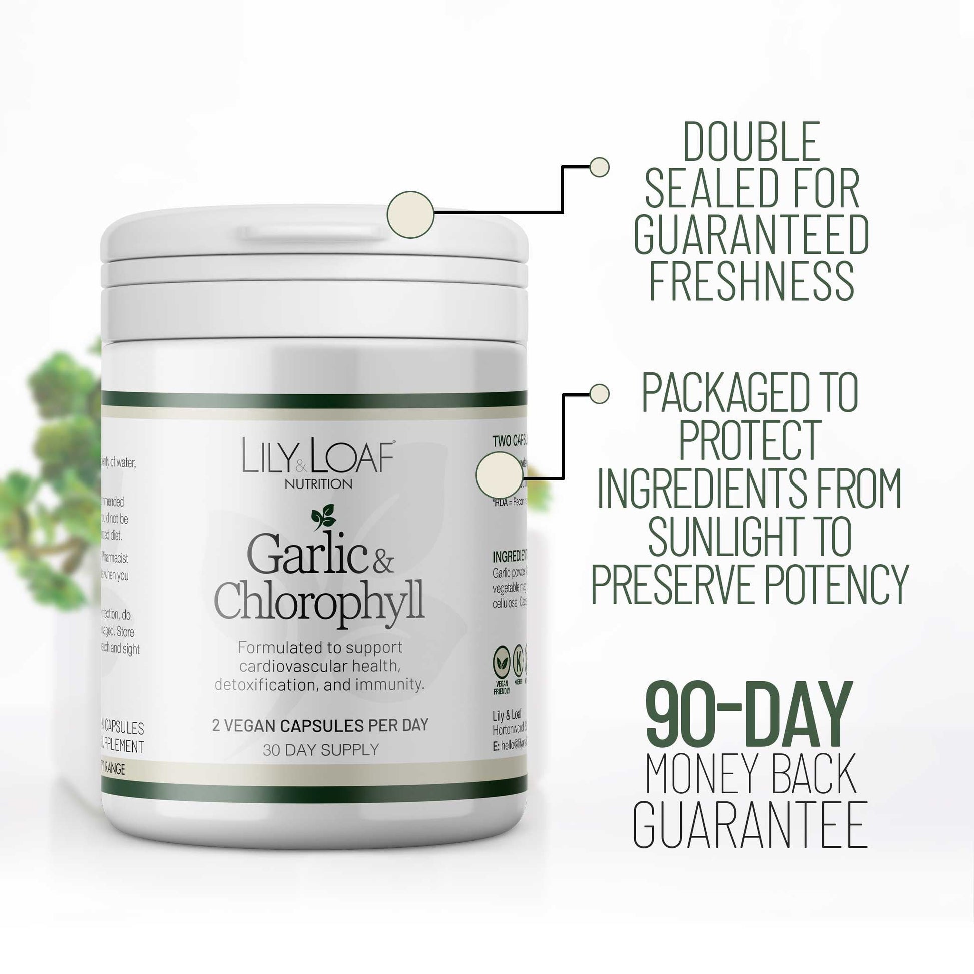 Garlic & Chlorophyll
