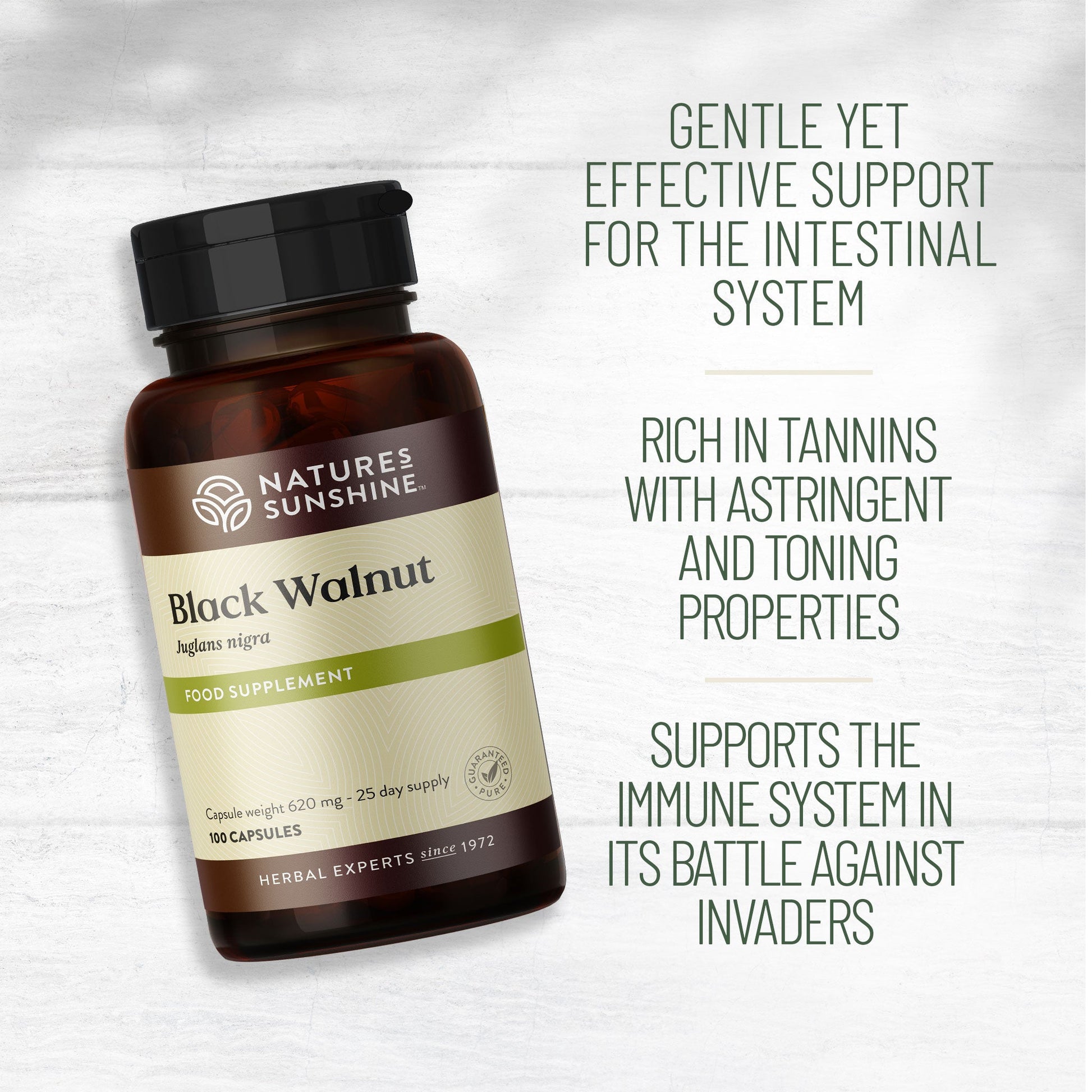 Intestinal support, soothes irritated tissue | Nature's Sunshine