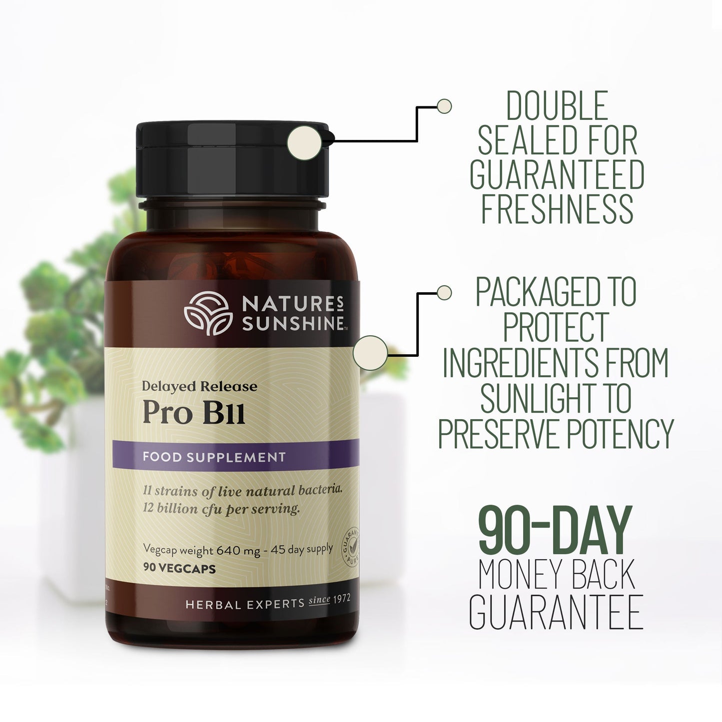 Probiotic, Lactobacillus, Bifidobacterium |Nature's Sunshine
