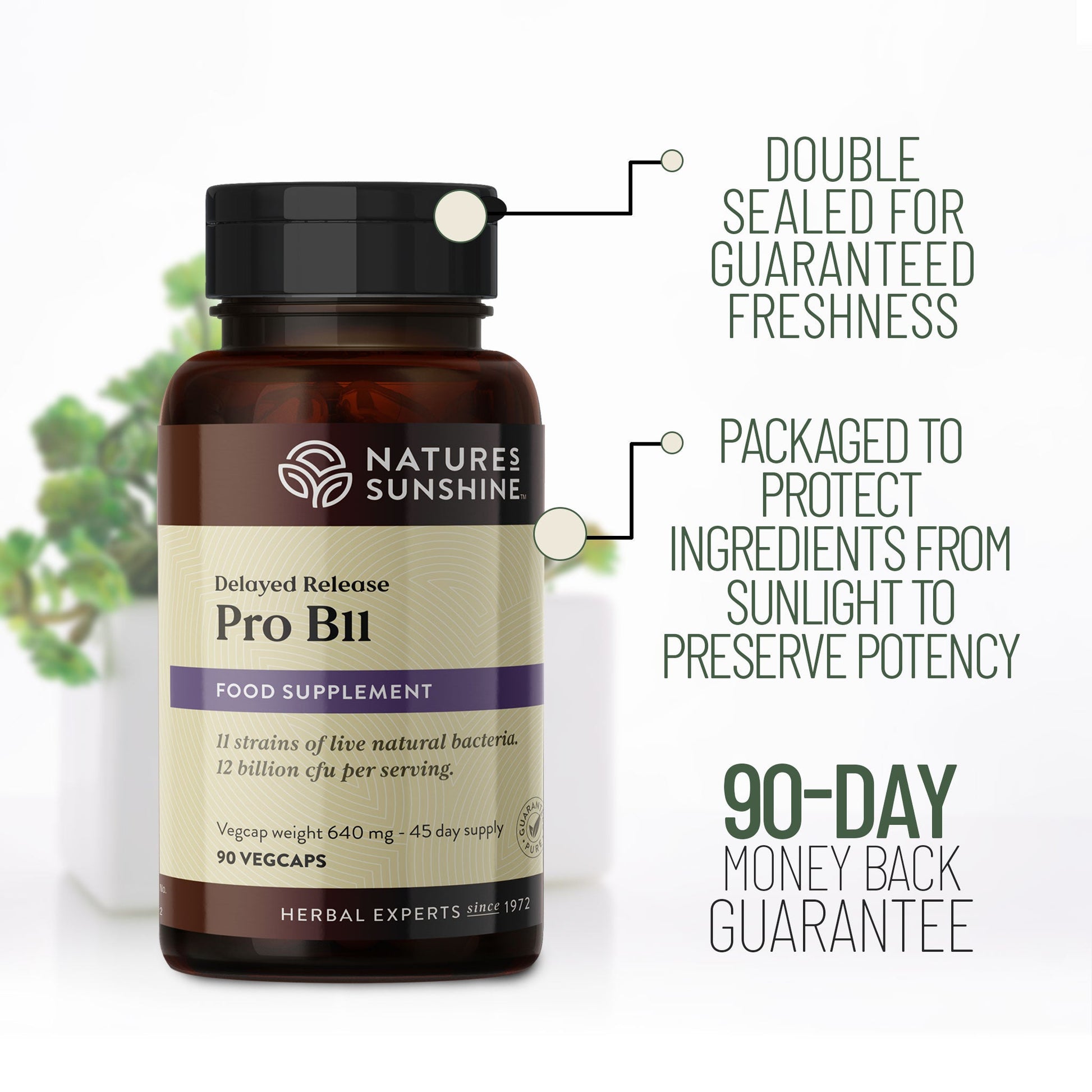 Probiotic, Lactobacillus, Bifidobacterium |Nature's Sunshine