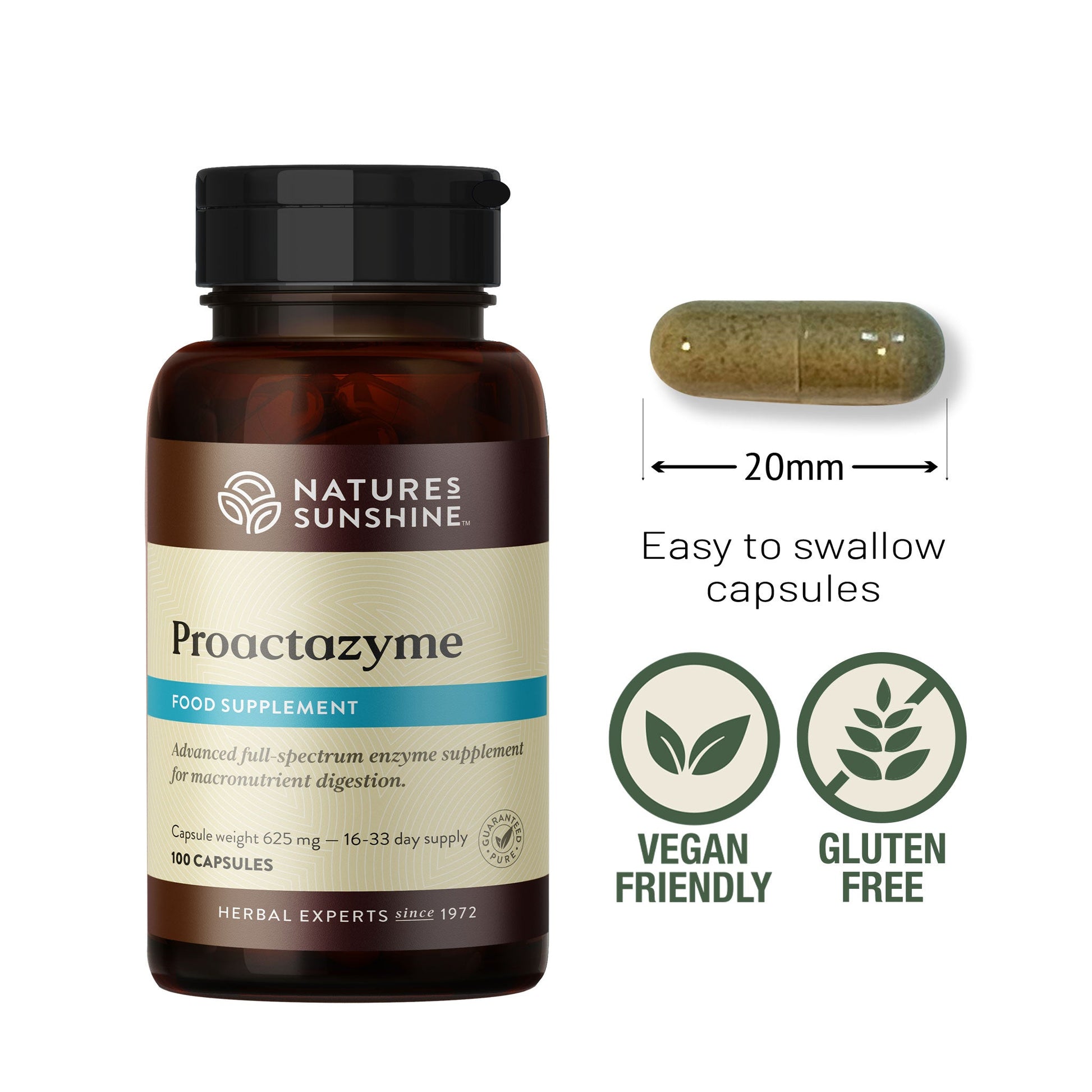 Proactazyme, Digestive, Enzyme Supplement, Bloating | Nature's Sunshine