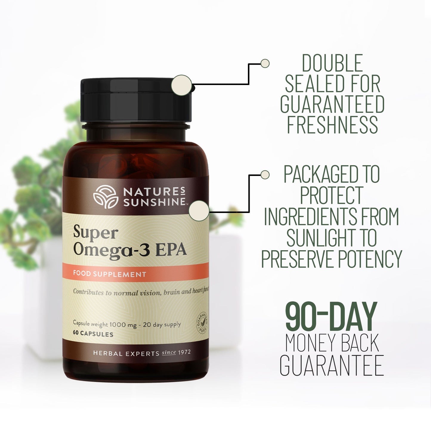 Omega-3, EPA, DHA, brain, skin, vision | Nature's Sunshine