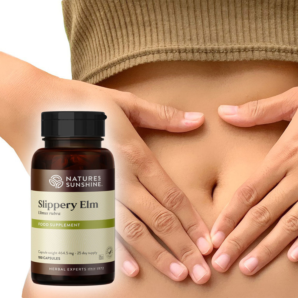 Digestive discomfort, Slippery Elm, nutritious | Nature's Sunshine