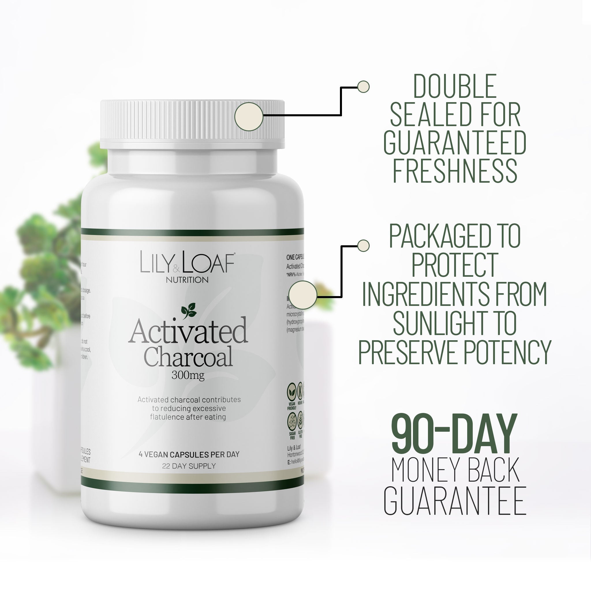 Activated Charcoal, gas, flatulence, digestion | Lily & Loaf