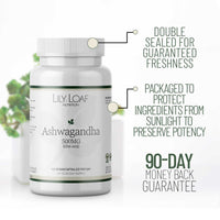 Ashwagandha, 500mg, adaptogen, tonic | Lily & Loaf