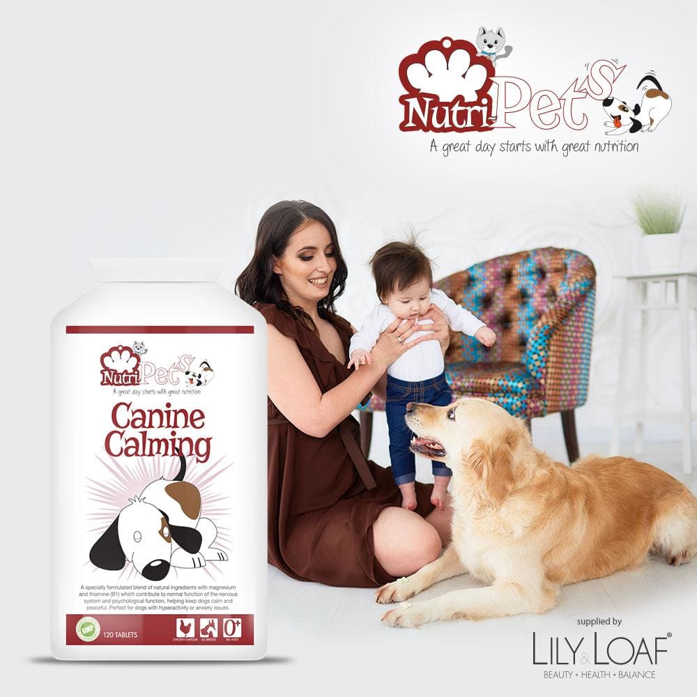 Pet supplements,Canine Calming, Chicken flavour, anxiety 