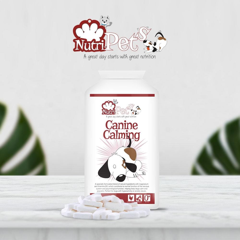 Pet supplements,Canine Calming, Chicken flavour, anxiety 