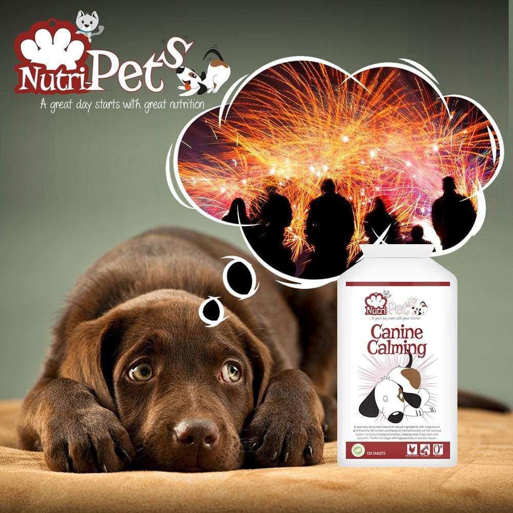 Pet supplements,Canine Calming, Chicken flavour, anxiety 