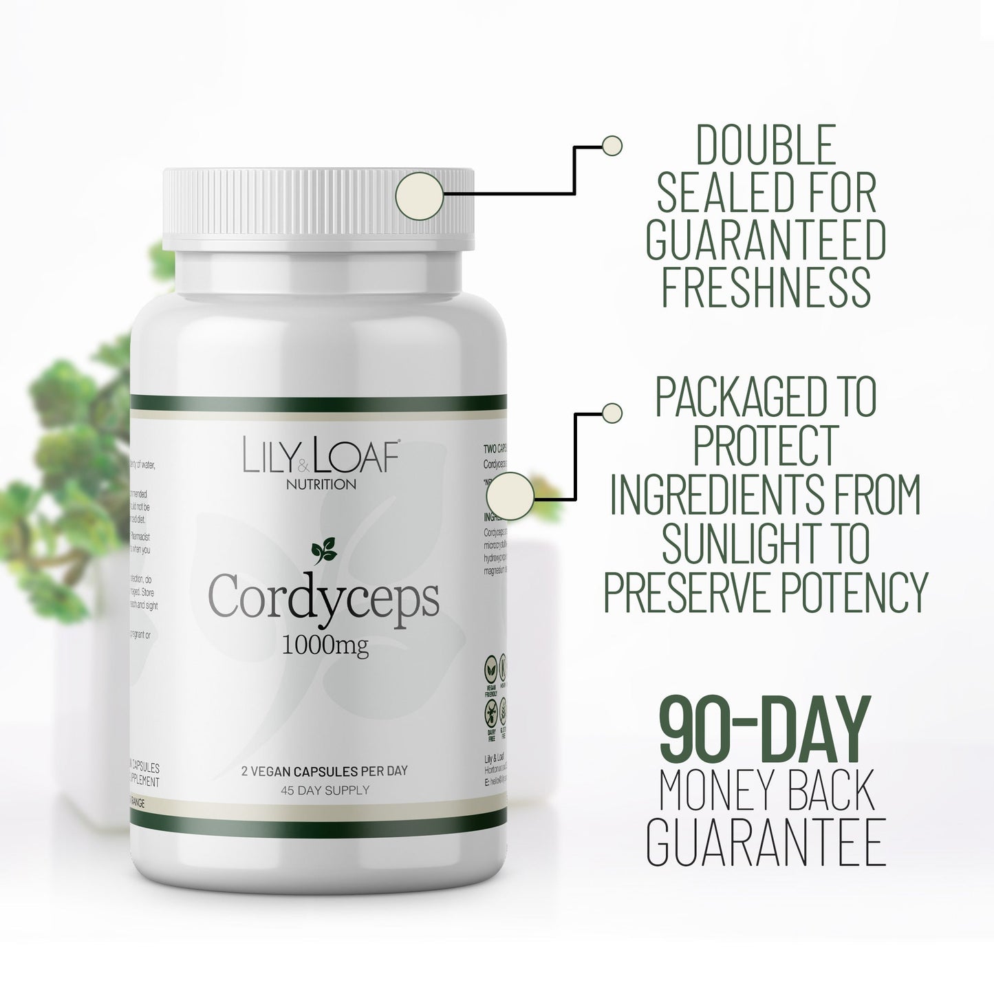 Cordyceps, sinensis, mushrooms, vitality | Lily & Loaf