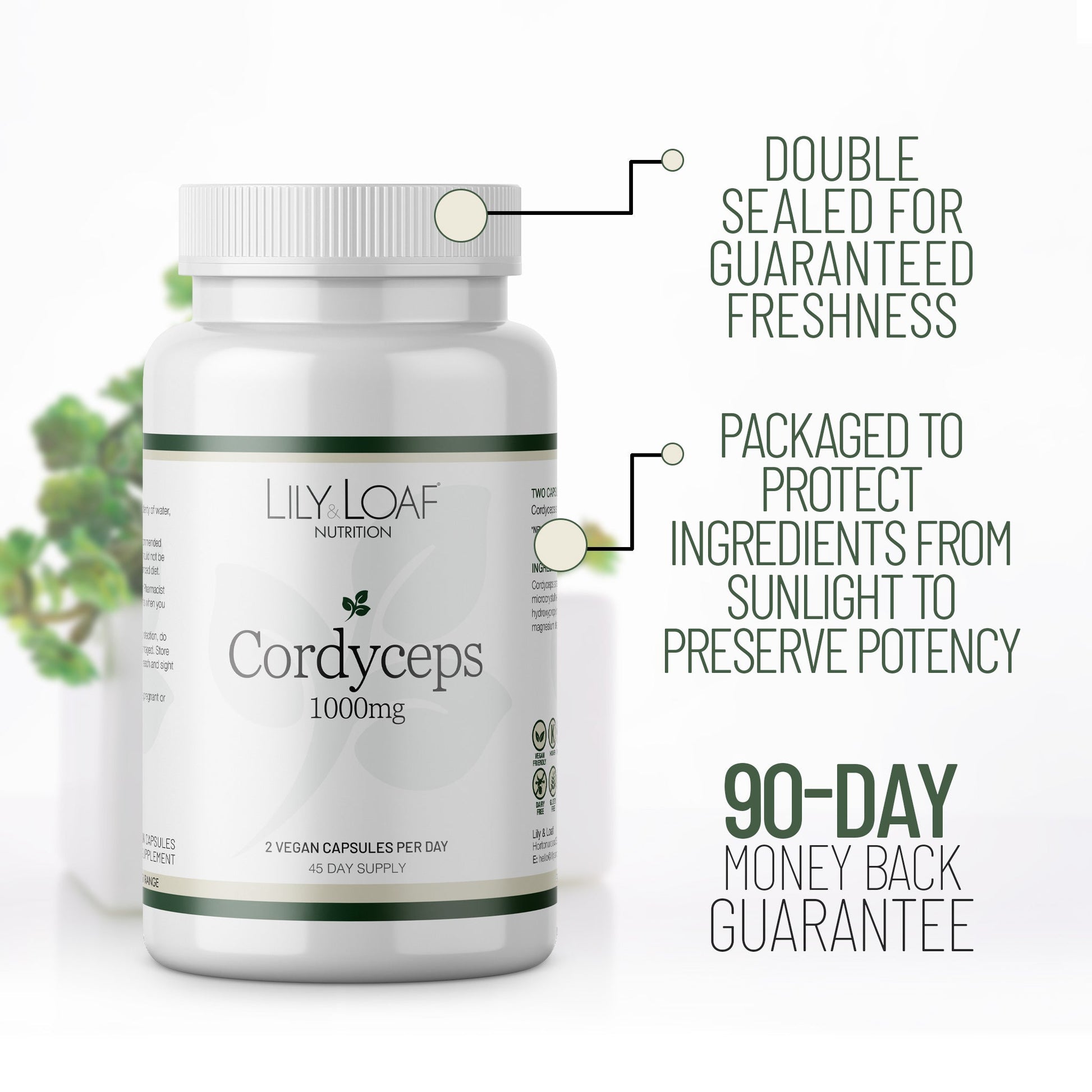 Cordyceps, sinensis, mushrooms, vitality | Lily & Loaf