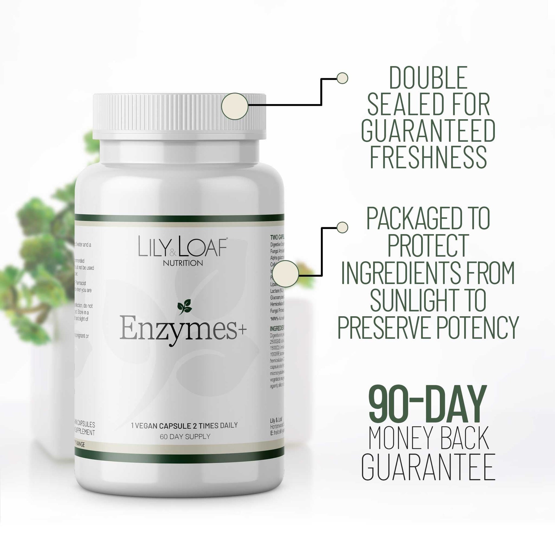 Enzymes +  Nature's Sunshine