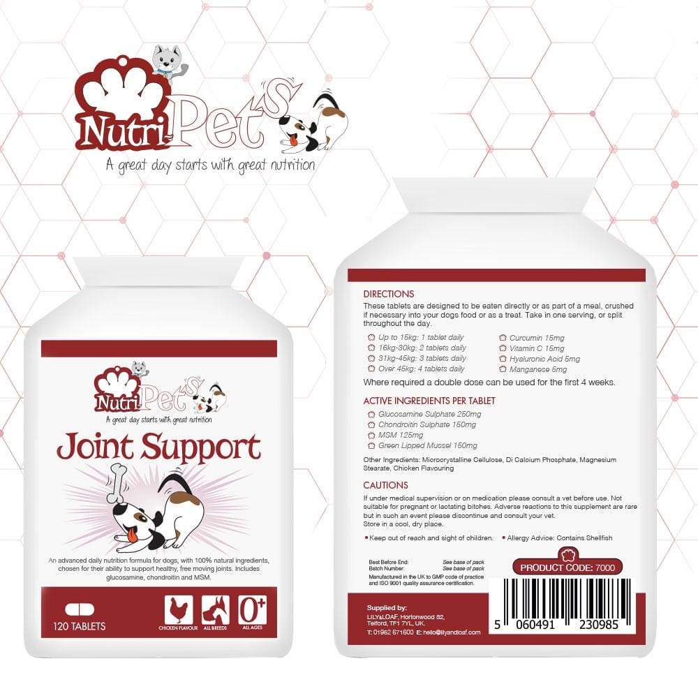 Pet supplements, Joint Support, Turmeric | Nutri-Pets