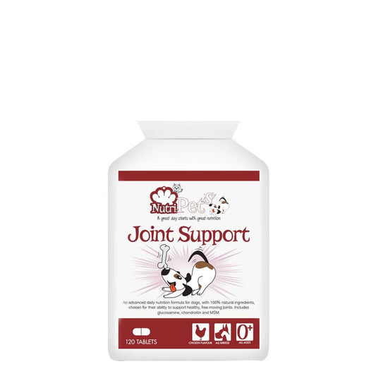 Pet supplements, Joint Support, Turmeric | Nutri-Pets