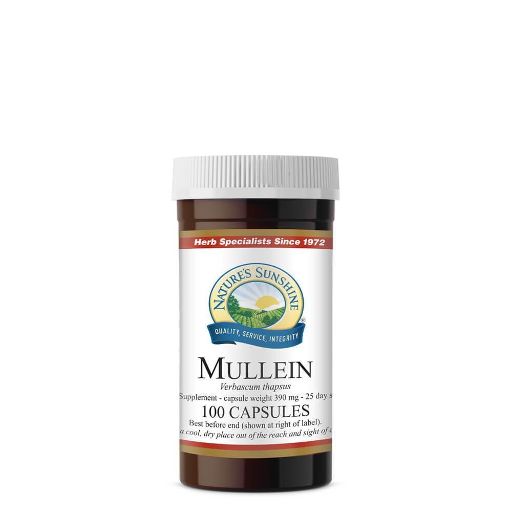 Mullein, Mucilage, Saponins, Respiratory System | Nature's Sunshine