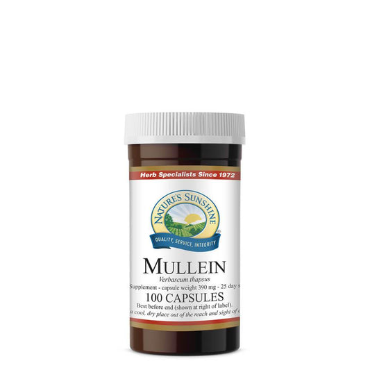 Mullein, Mucilage, Saponins, Respiratory System | Nature's Sunshine