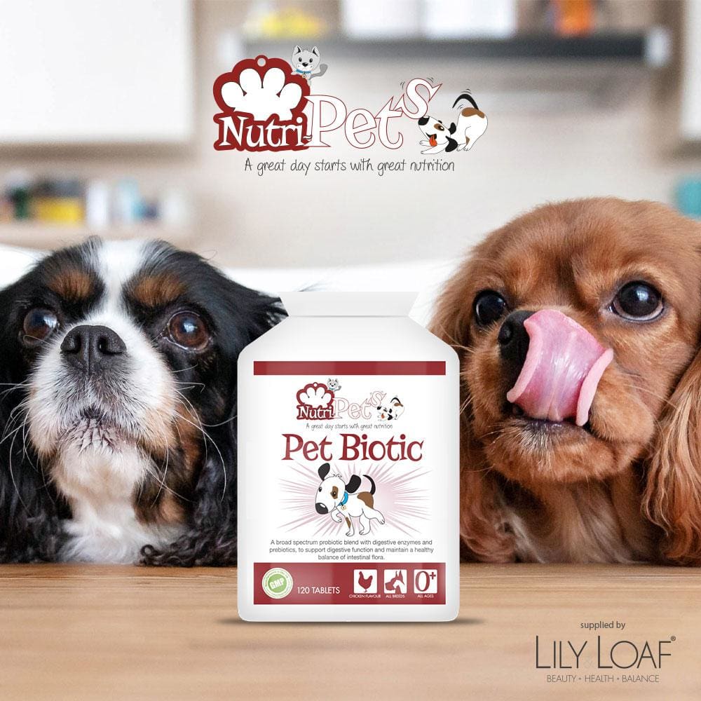 Pet supplements, Digestive Support, Probiotic, Enzymes |