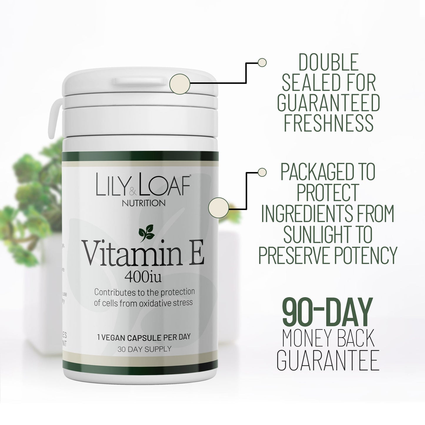 Vitamin E, antioxidant, immune support, anti-ageing 