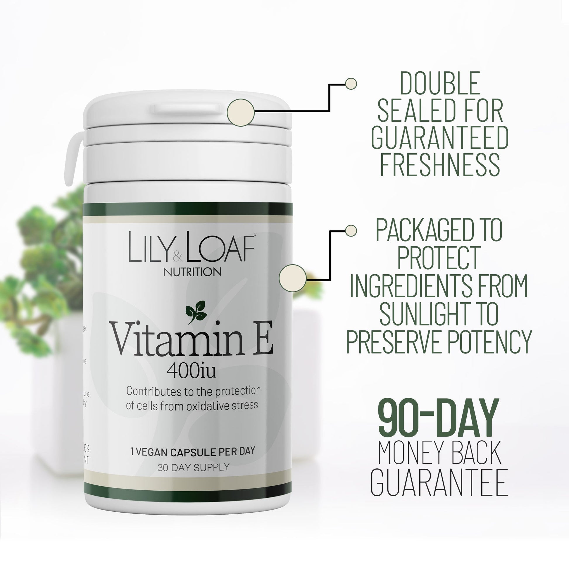 Vitamin E, antioxidant, immune support, anti-ageing 